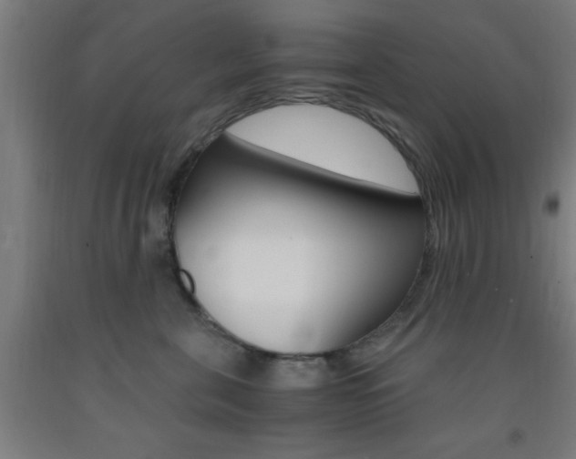 X0000093240571200709261532