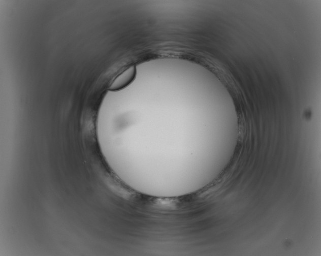 X0000093240573200709261532