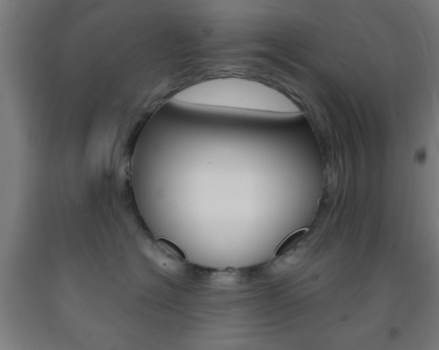 X0000093240574200709261532
