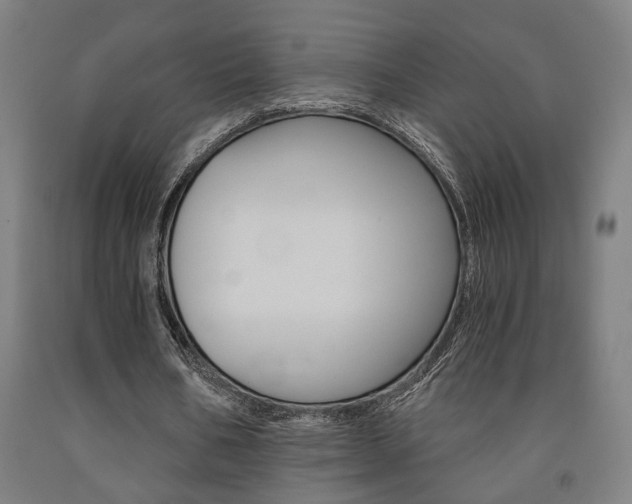 X0000093240578200709261532