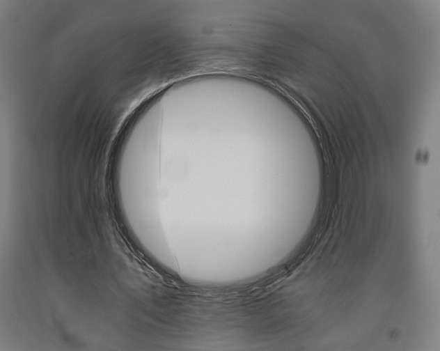 X0000093240579200709261532