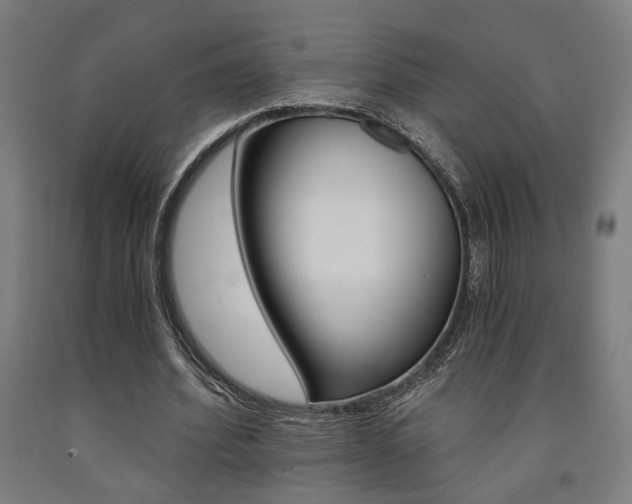 X0000093240580200709261532