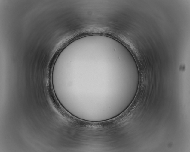 X0000093240582200709261532