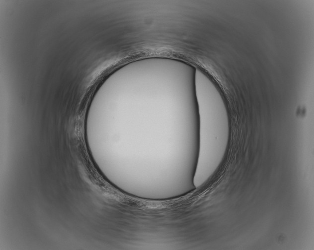 X0000093240583200709261532