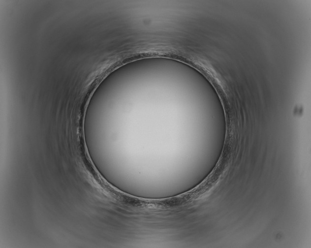 X0000093240585200709261532