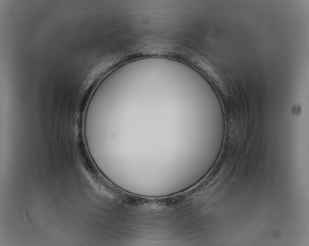 X0000093240586200709261532