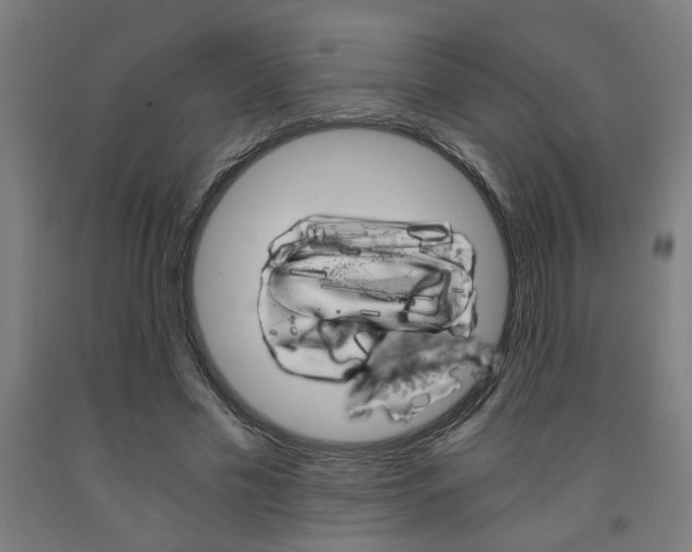 X0000093240589200709261532