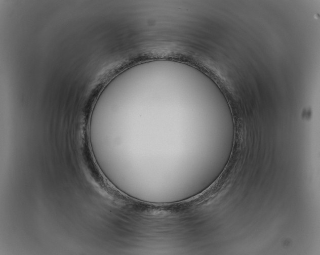 X0000093240590200709261532