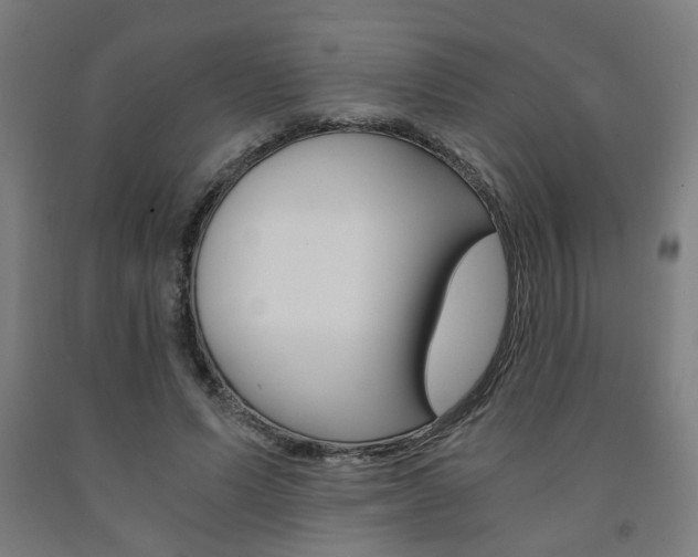 X0000093240591200709261531