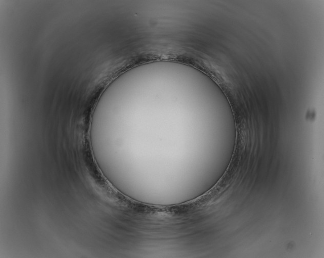 X0000093240594200709261531