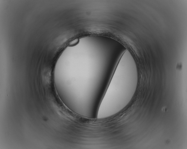 X0000093240596200709261531