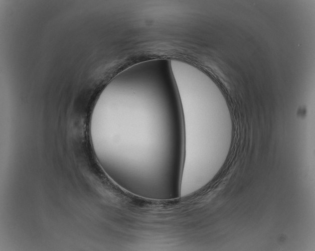 X0000093240597200709261531