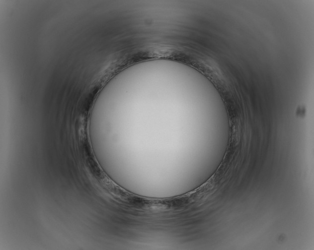 X0000093240598200709261531