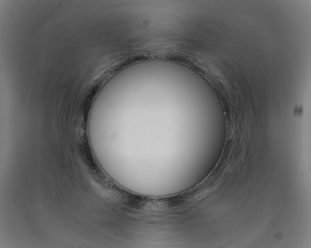X0000093240599200709261531