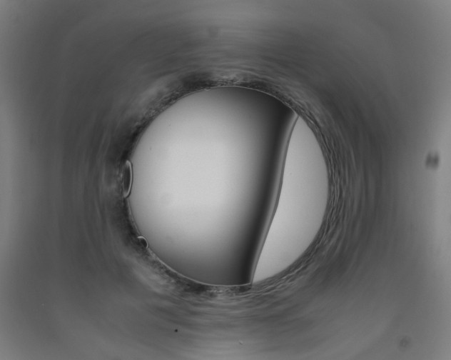 X0000093240601200709261531