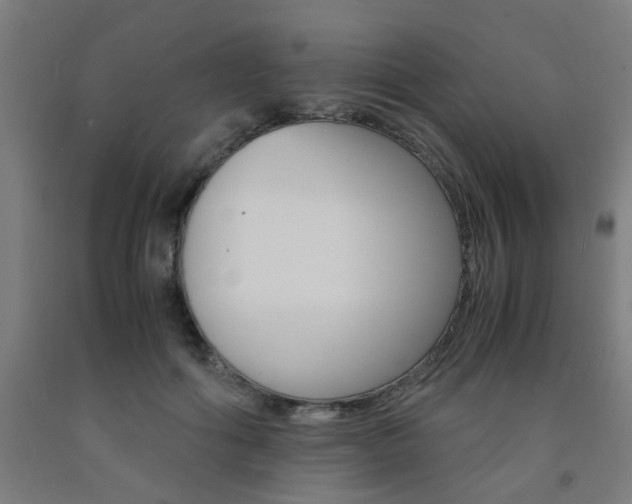 X0000093240602200709261531