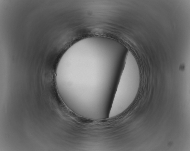 X0000093240603200709261531