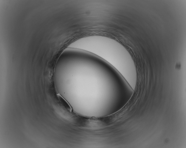 X0000093240605200709261531