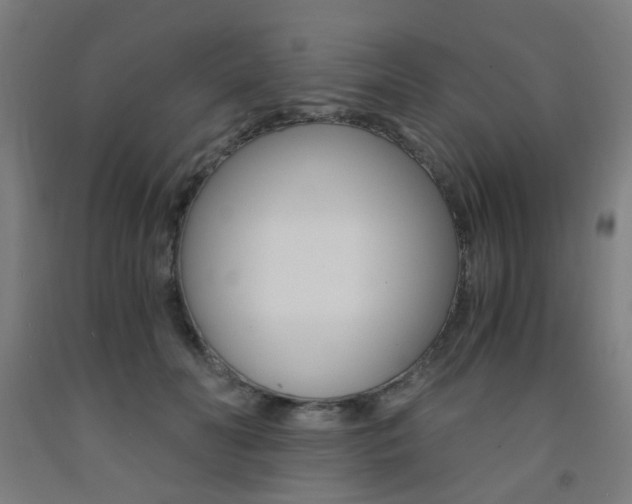 X0000093240606200709261531