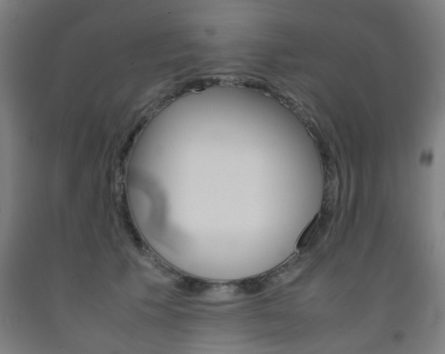 X0000093240609200709261531