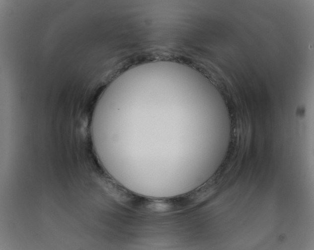 X0000093240610200709261531