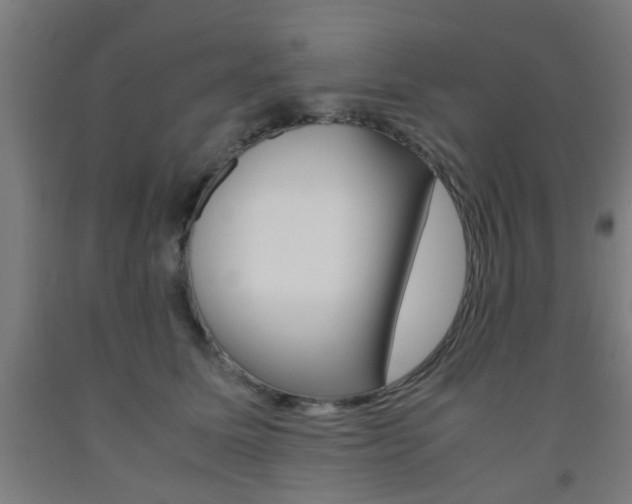 X0000093240611200709261531