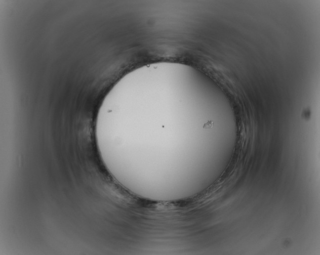 X0000093240612200709261531
