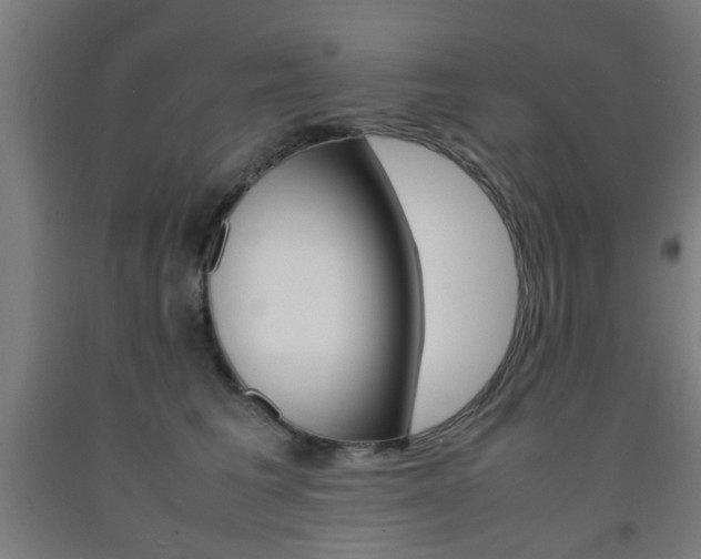 X0000093240613200709261531