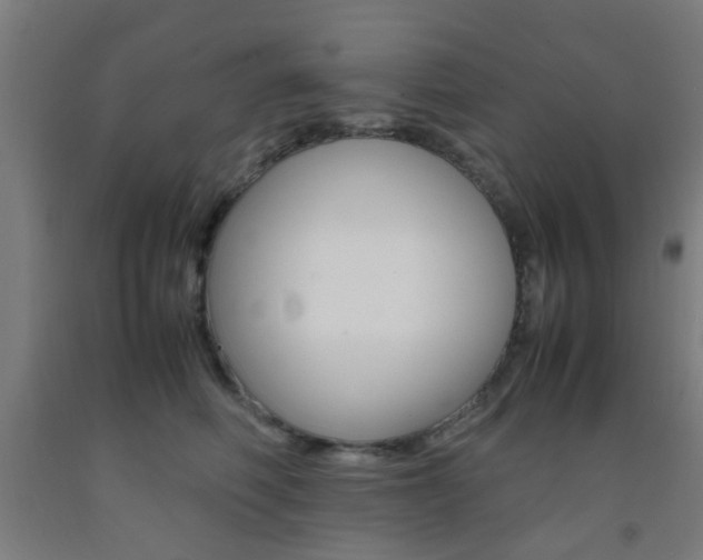 X0000093240614200709261531