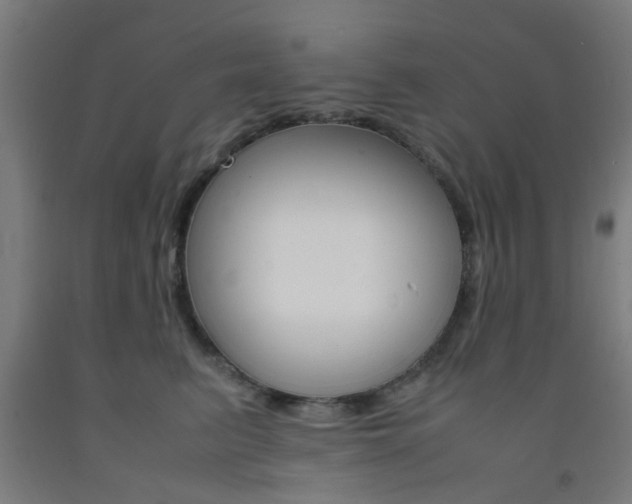 X0000093240615200709261531