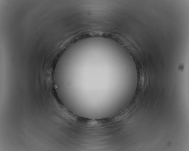 X0000093240616200709261531