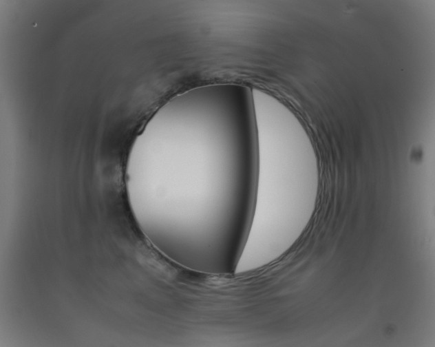 X0000093240617200709261531