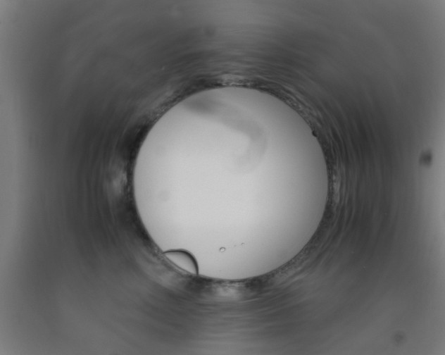 X0000093240618200709261531