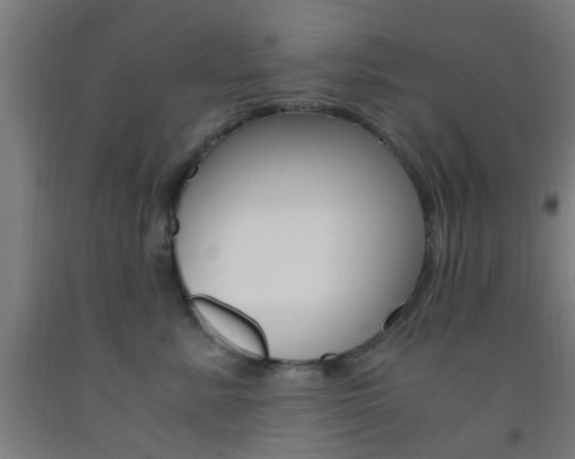 X0000093240619200709261531
