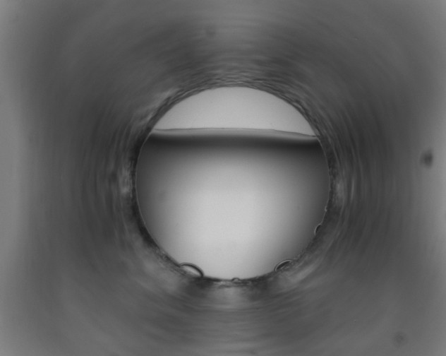 X0000093240620200709261531
