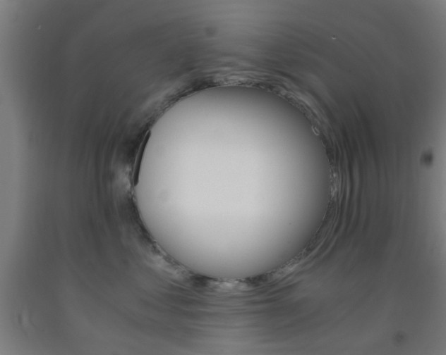 X0000093240621200709261531