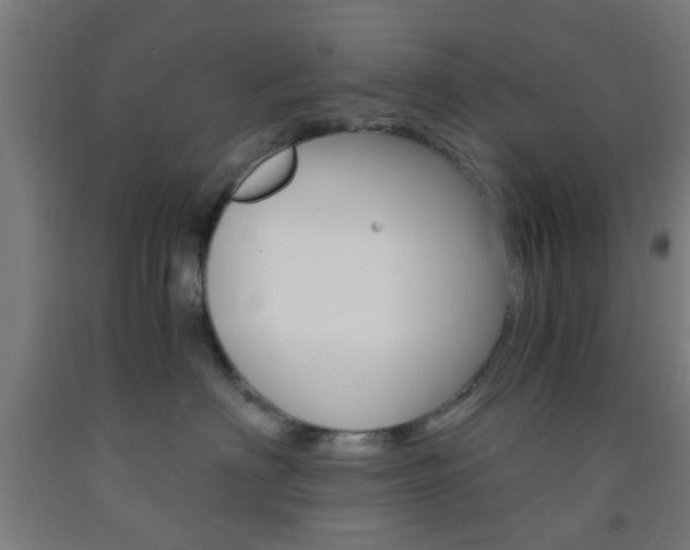 X0000093240622200709261531