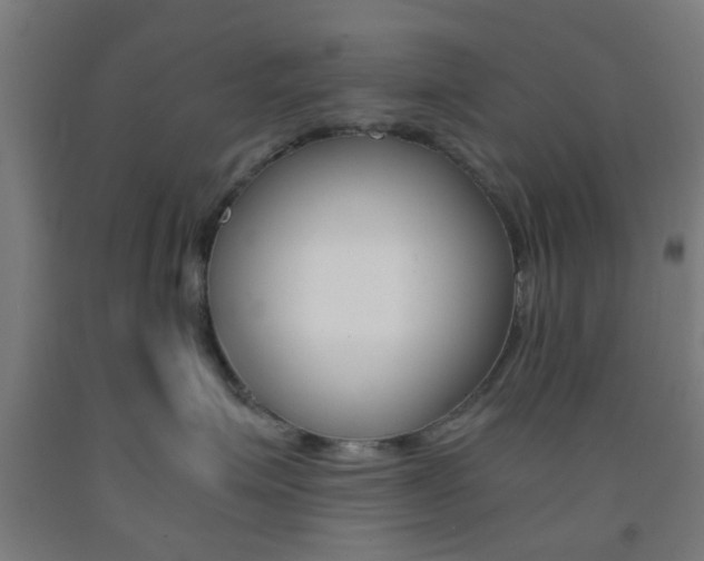 X0000093240623200709261531