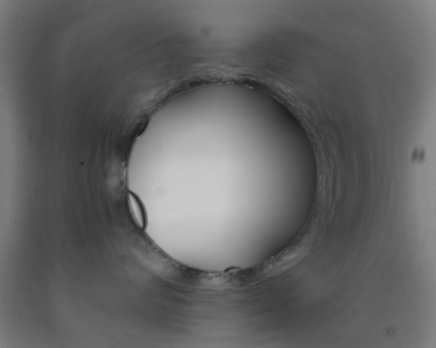 X0000093240624200709261531