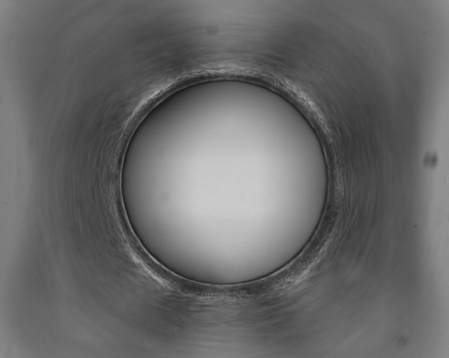 X0000093240625200709261530