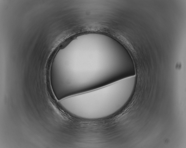 X0000093240626200709261530