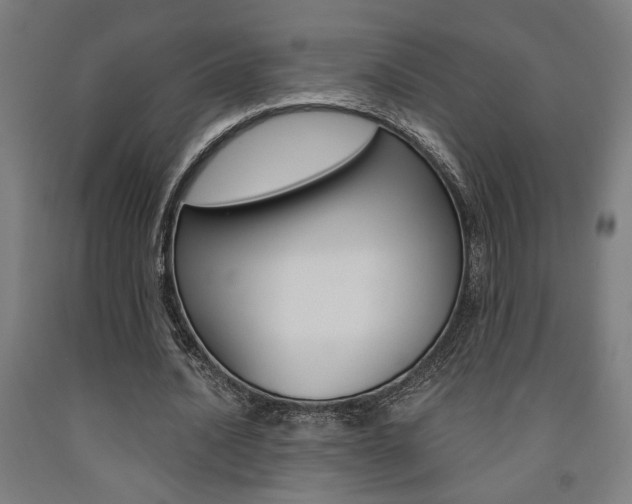 X0000093240628200709261530