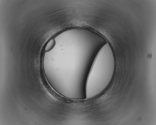 X0000093240630200709261530