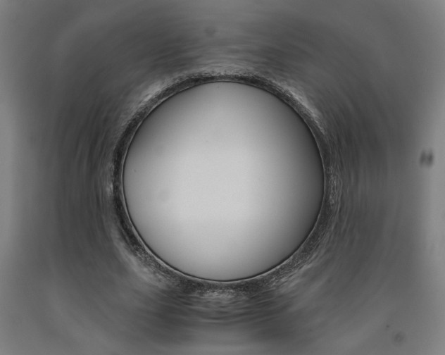 X0000093240631200709261530