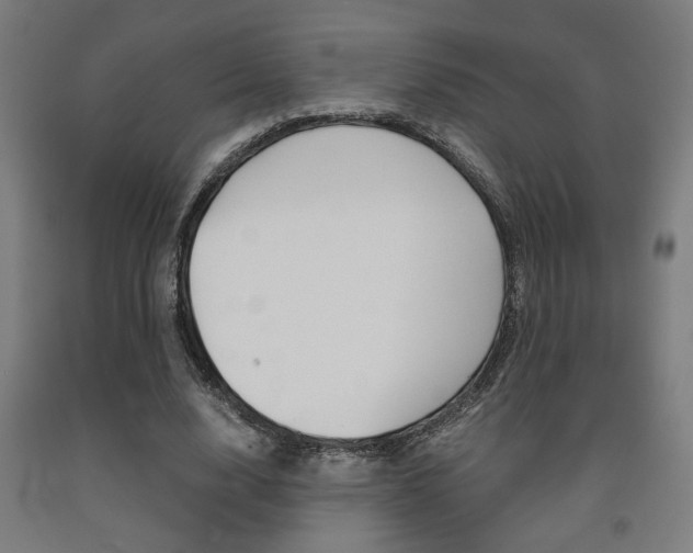 X0000093240632200709261530