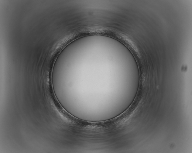 X0000093240633200709261530
