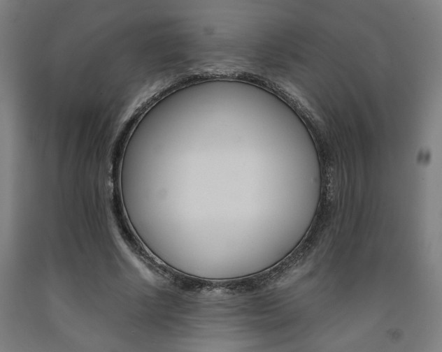 X0000093240634200709261530