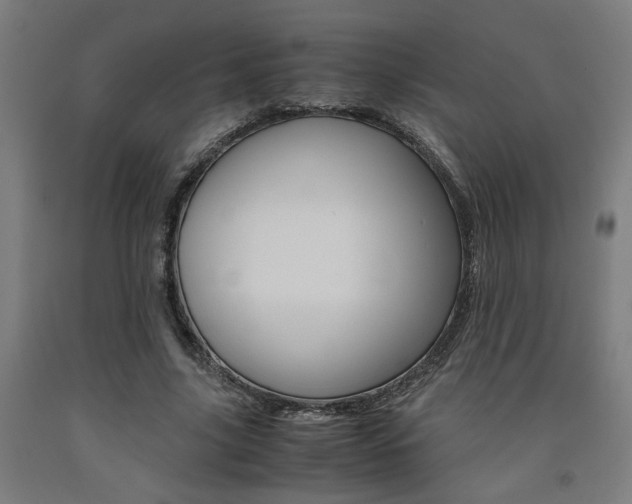 X0000093240635200709261530