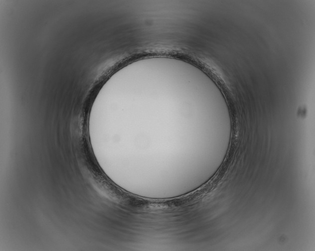 X0000093240636200709261530