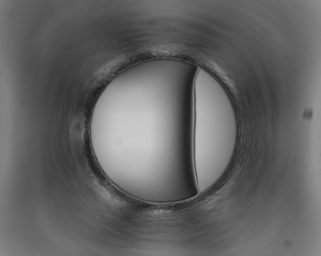 X0000093240637200709261530